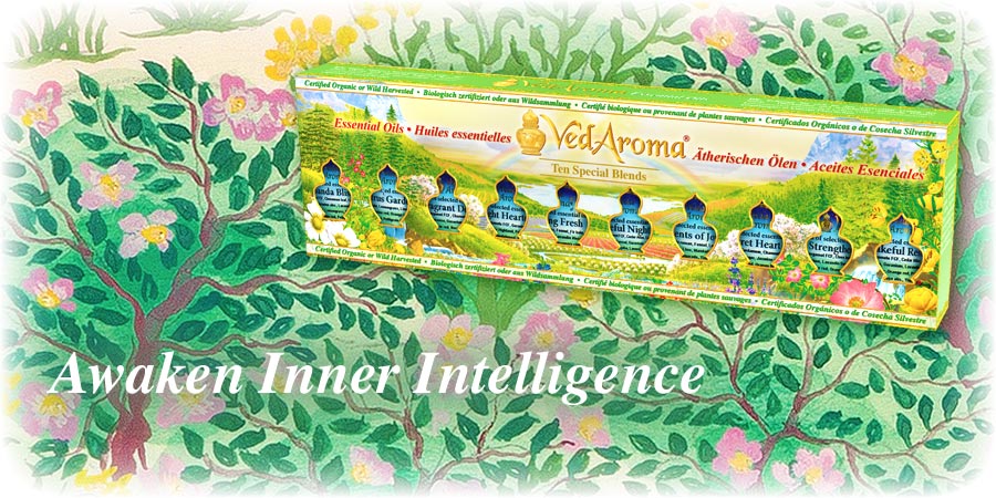 VedAroma Blends of Essential oils