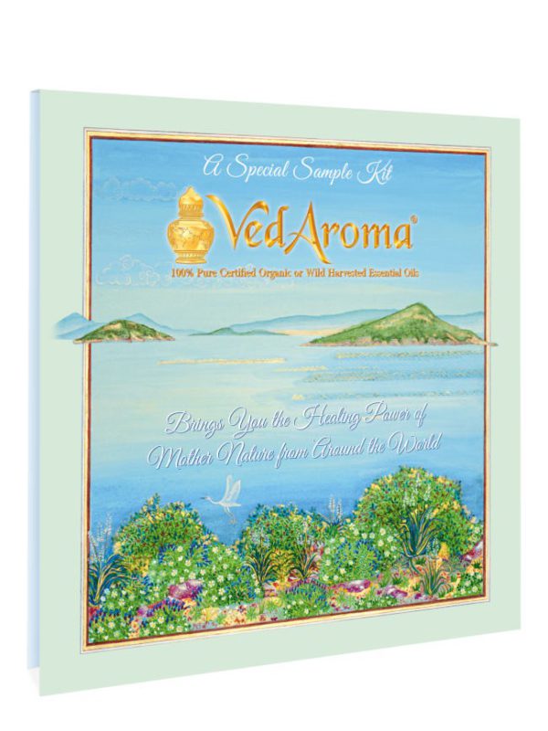 VedAroma KIT with Power of Essential Oils booklet in English