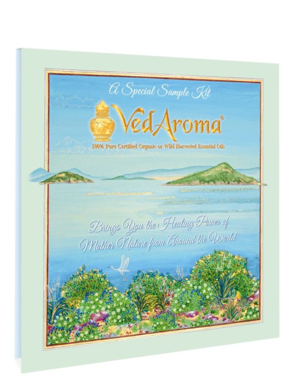 VedAroma KIT with the booklet Power of Essential oils in Serbian