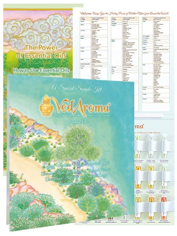 A Special Sample KIT with new PO in English