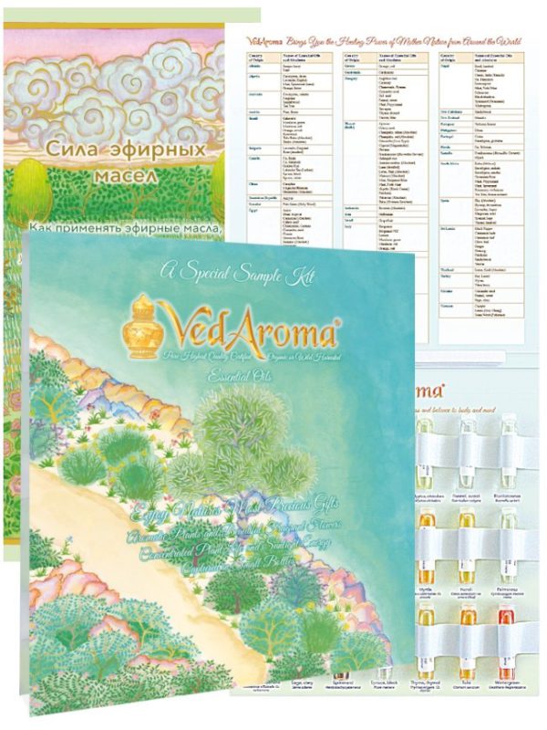 A Special Sample KIT with new PO in Russian