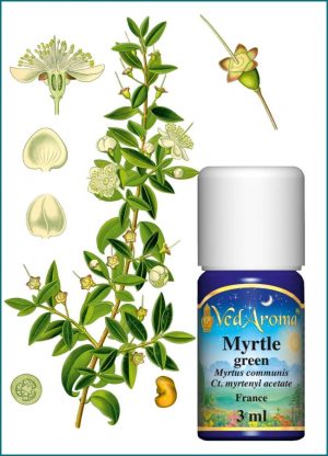 Myrtle Green Essential Oil (3 ml), France