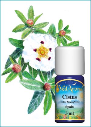 Cistus Essential Oil (3 ml), Spain