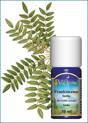 Frankincense Essential Oil (10ml), India