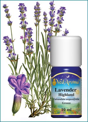 Lavender Highland Essential Oil (10 ml), Greece
