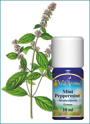 Mint, Peppermint Essential Oil (10 ml), Greece