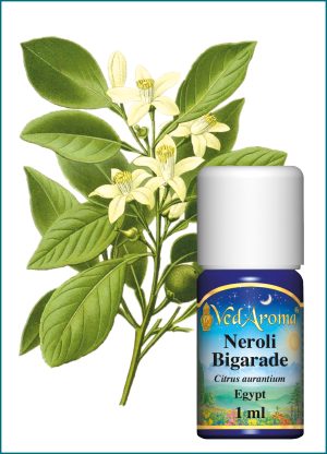 Neroli Bigarade Essential Oil (1 ml), Egypt
