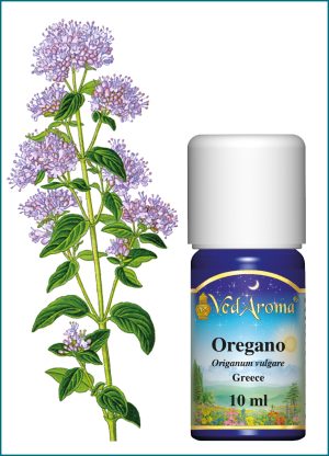 Oregano Essential Oil (10 ml), Greece
