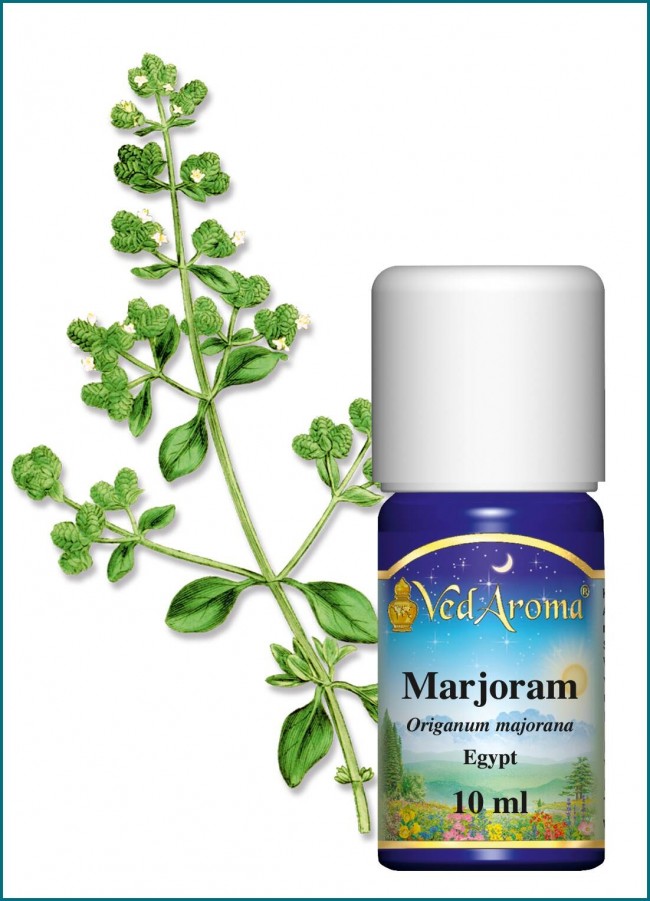 Marjoram Essential Oil (10 ml) - VedAroma US