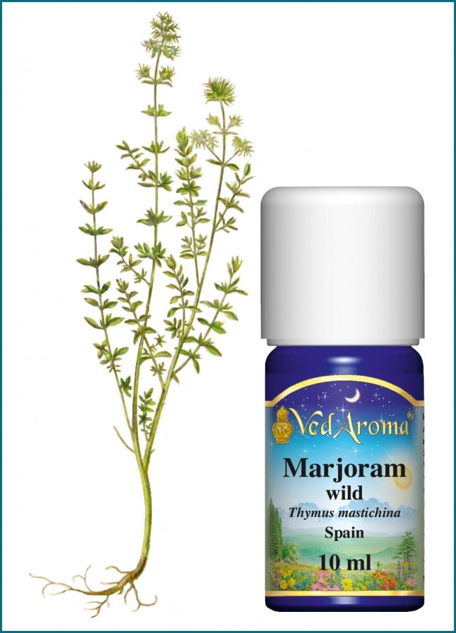 Marjoram Wild Essential Oil (10 Ml) - Vedaroma Us