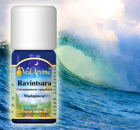 A bottle of VedAroma Ravintsara essential oil with an ocean wave in the background.