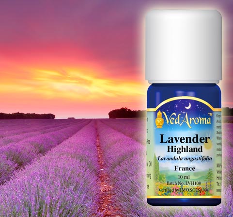 A bottle of VedAroma Lavender, Highland essential oil and a photo of a lavender field at sunset.