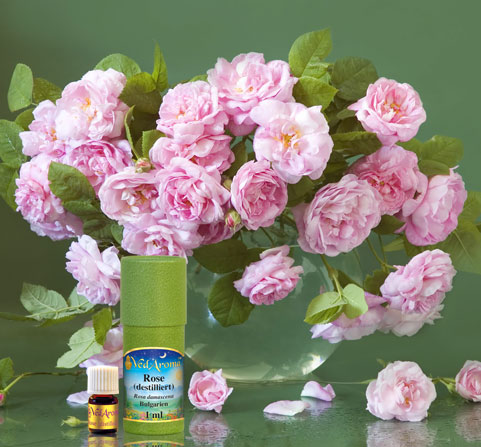 A bottle of VedAroma Rose (Distilled) essential oil on a table with a large round vase of old fashioned roses.