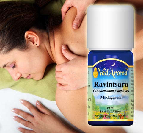A bottle of VedAroma Ravintsara essential oil is shown with a photo of oil being applied to a woman's upper back.
