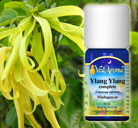 A bottle of VedAroma Ylang Ylang essential oil is shown with a photo of ylang ylang blossoms.