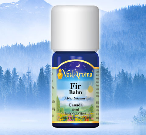 A bottle of VedAroma Fir Balm essential oil is shown with a misty mountain forest background.