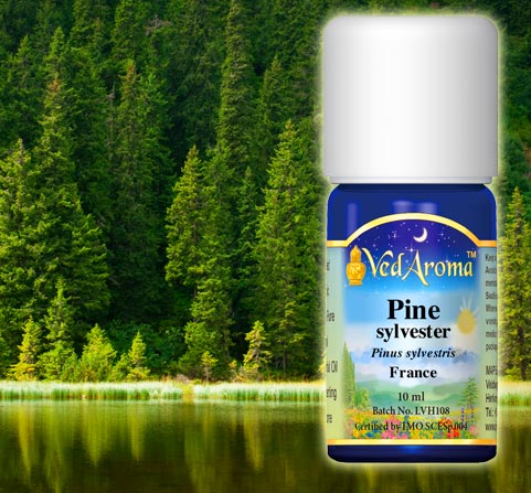 A bottle of VedAroma Pine sylvester is shown superimposed on a scene of pine forest and mountain lake.