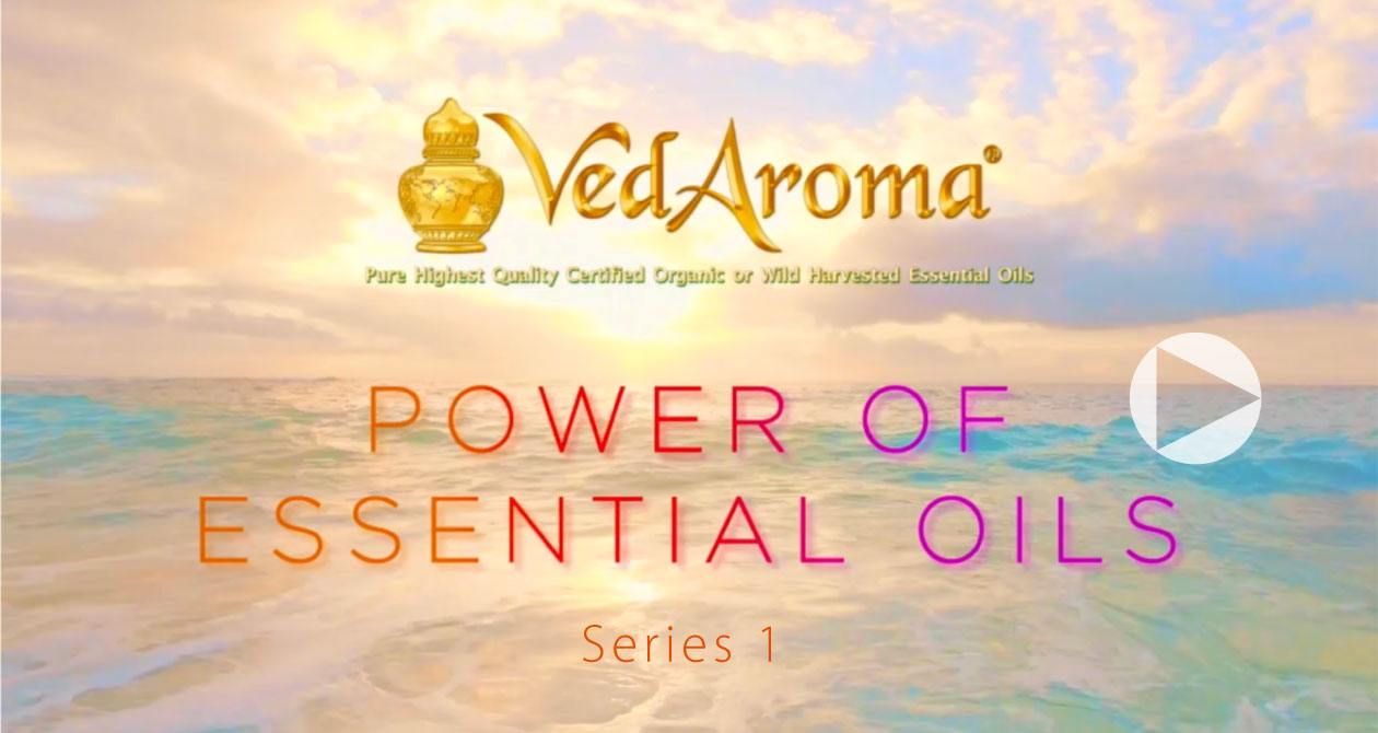 The power of essential oils