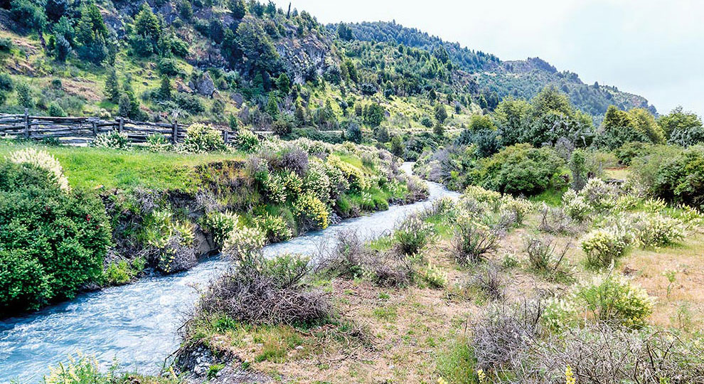 Maharishi Vedic Farm in Patagonia, Chile