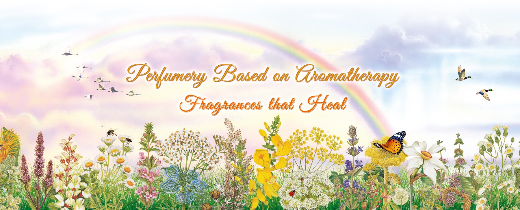 Perfumery through Aromatherapy